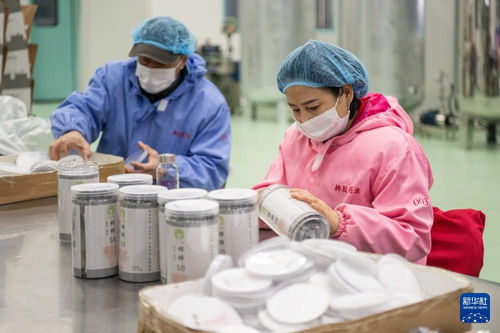 中国林都 伊春 发展生态经济 助推转型升级