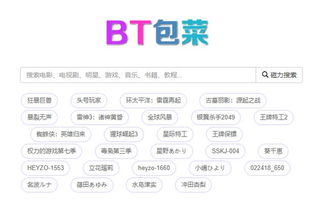 老司机不小心暴露6个网站,全是千里挑一的好资源,每天都偷偷用